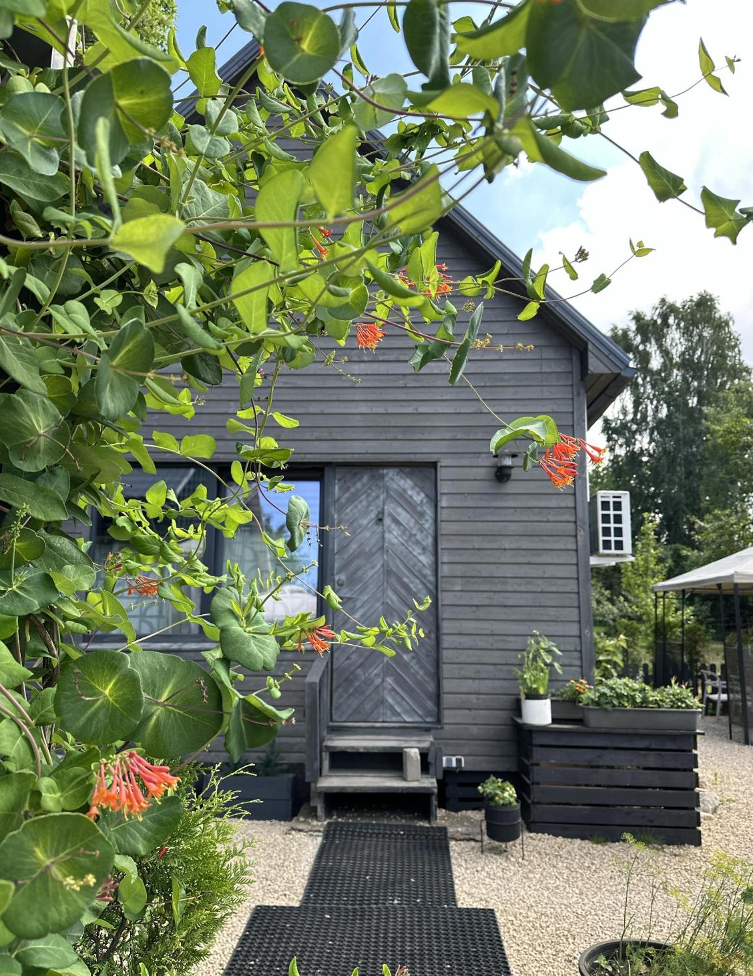 Amazing Little House On An Island With Garden Villa รีกา ภายนอก รูปภาพ